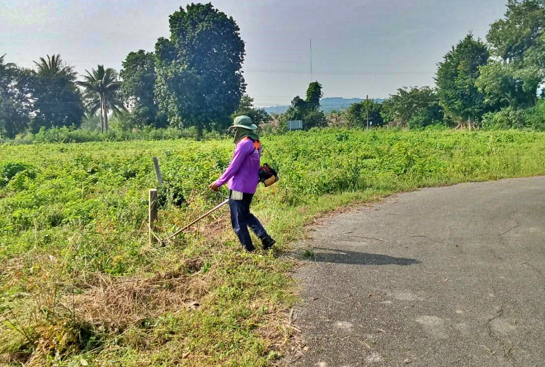 ปรับปรุงภูมิทัศน์ โดยการตัดหญ้าสองข้างทางซอยนายโชค และซอยแยกนางวิเชียร หมู่ที่ 5 บ้านห้วยใหญ่