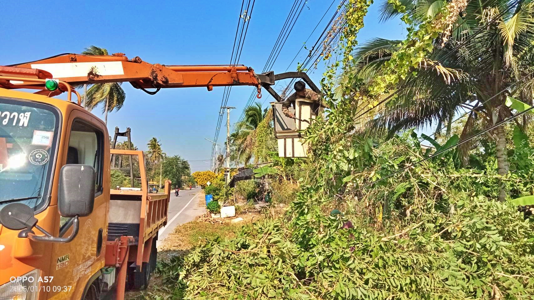 ปรับปรุงภูมิทัศน์ ตัดแต่งกิ่งไม้ซอยใยบำรุง หมู่ที่ 2 บ้านหนองหิน