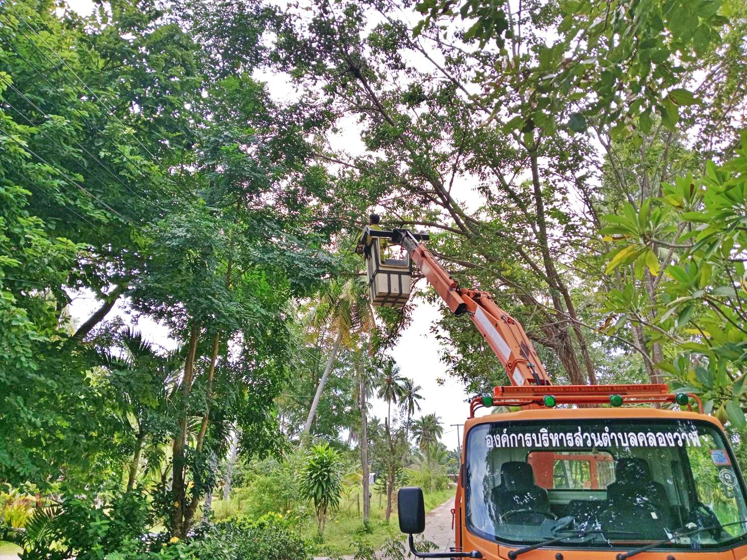 ปรับปรุงภูมิทัศน์ โดยการตัดหญ้าสองข้างทางสายทางหวาย-นาทอง หมู่ที่ 3 บ้านทางหวาย หมู่ที่ 8 บ้านนาทอง และปรับปรุงภูมิทัศน์ โดยการตัดแต่งกิ่งไม้ ซอยถนอมสุข หมู่ที่ 7 บ้านสวนขวัญ