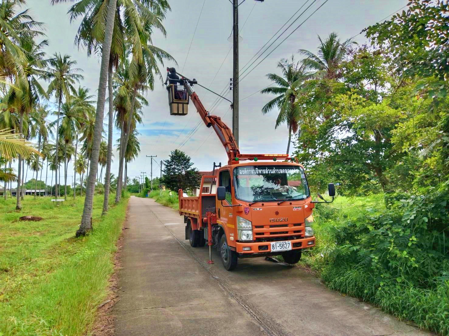 ซ่อมไฟฟ้าส่องสว่างสาธารณะที่ชำรุด ขัดข้อง ในเขตพื้นที่ หมู่ที่ 4 บ้านหว้าโทน