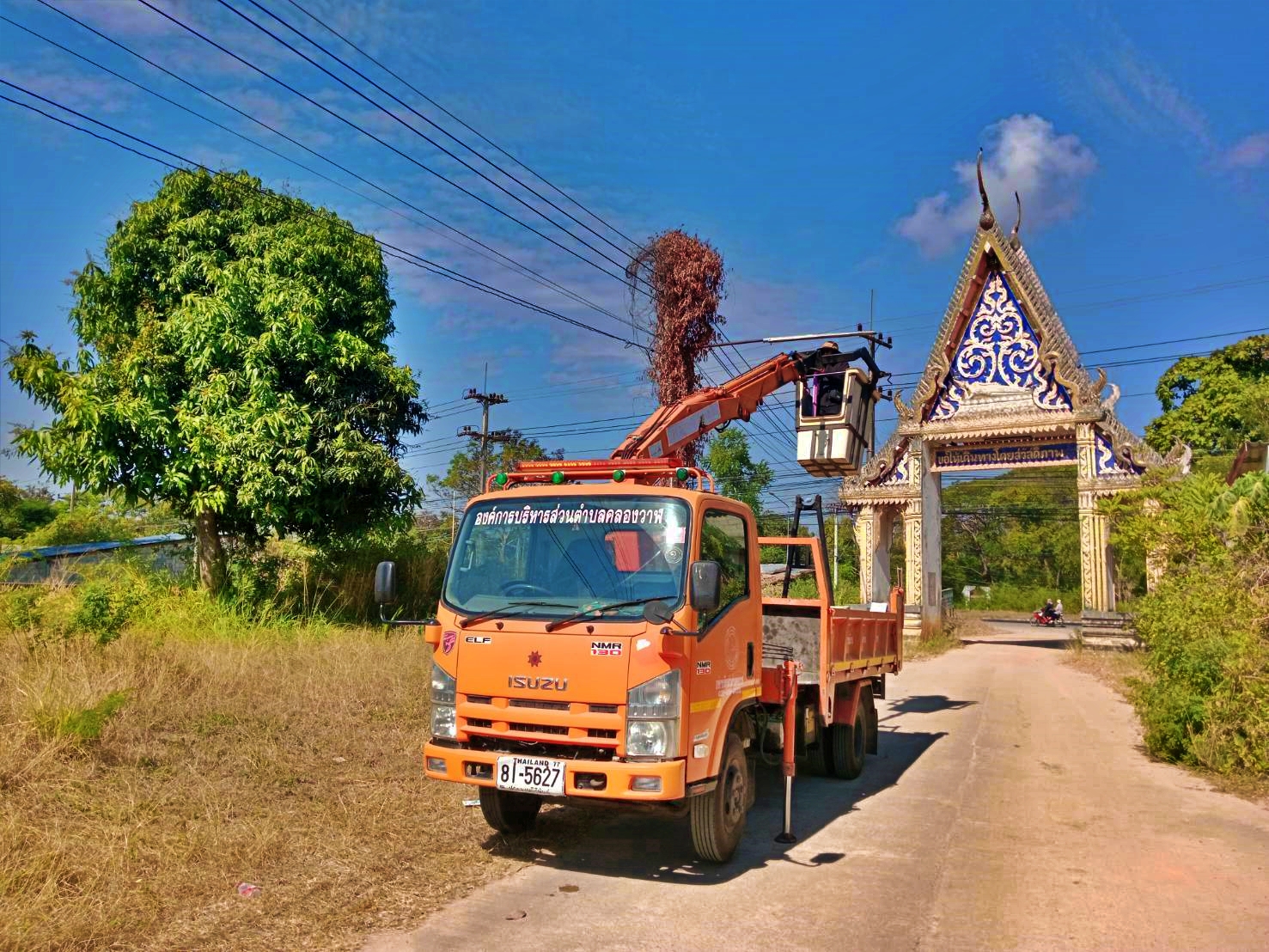 ซ่อมไฟฟ้าส่องสว่างสาธารณะที่ชำรุด ขัดข้อง ในเขตพื้นที่ หมู่ที่ 2 บ้านหนองหิน หมู่ที่ 7 บ้านสวนขวัญ ตำบลคลองวาฬ