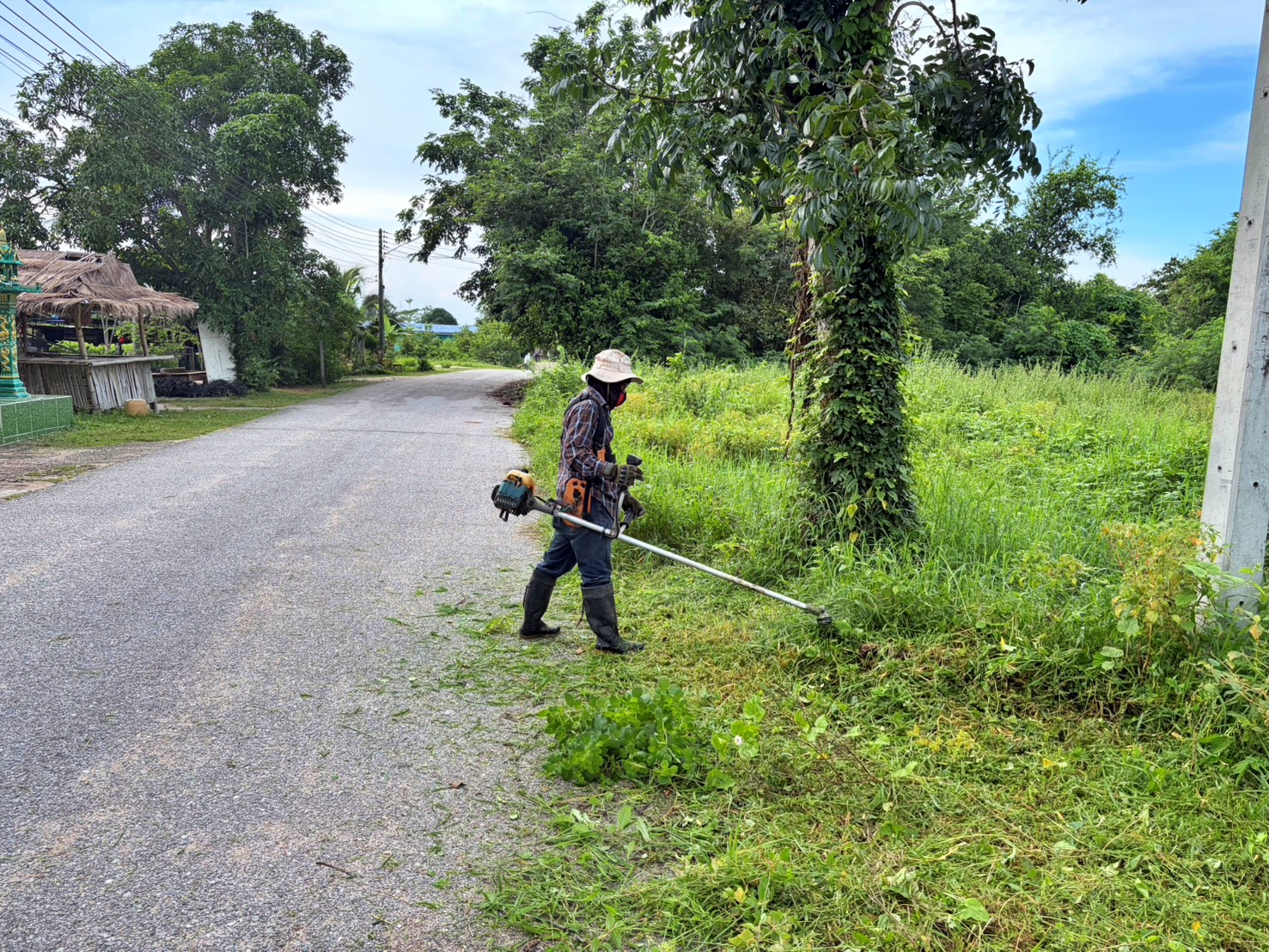 ปรับปรุงภูมิทัศน์ โดยการตัดแต่งกิ่งไม้ และตัดหญ้าสองข้างทาง ซอยศรีสังวาลย์ หมู่ที่ 8 บ้านนาทอง