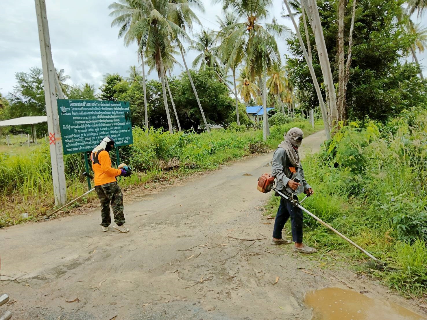 ปรับปรุงภูมิทัศน์ ซอยเปลี่ยนเหมาะ หมู่ที่ 9 บ้านหนองน้ำขาว